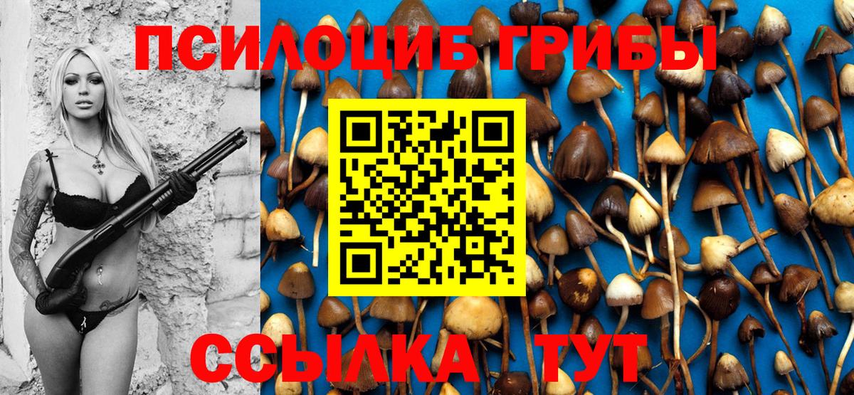 Псилоцибиновые грибы ЛСД  Вход с VPN  Нягань  Галлюциногенные грибы Psilocybine cubensis 